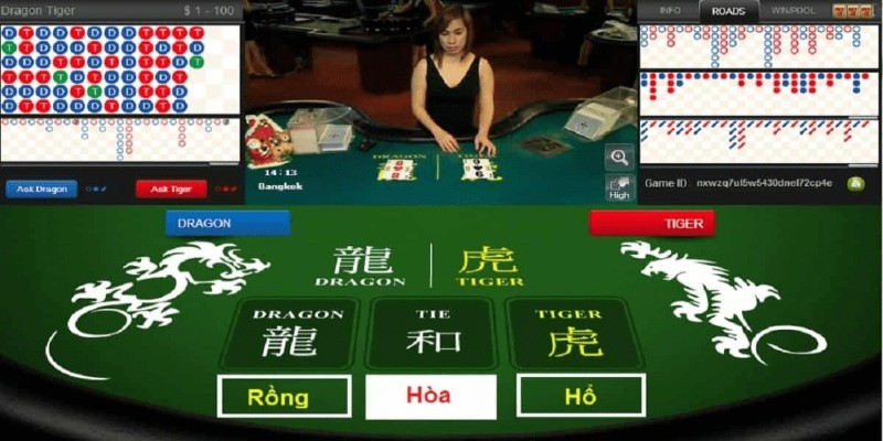 dg-casino-rong-ho